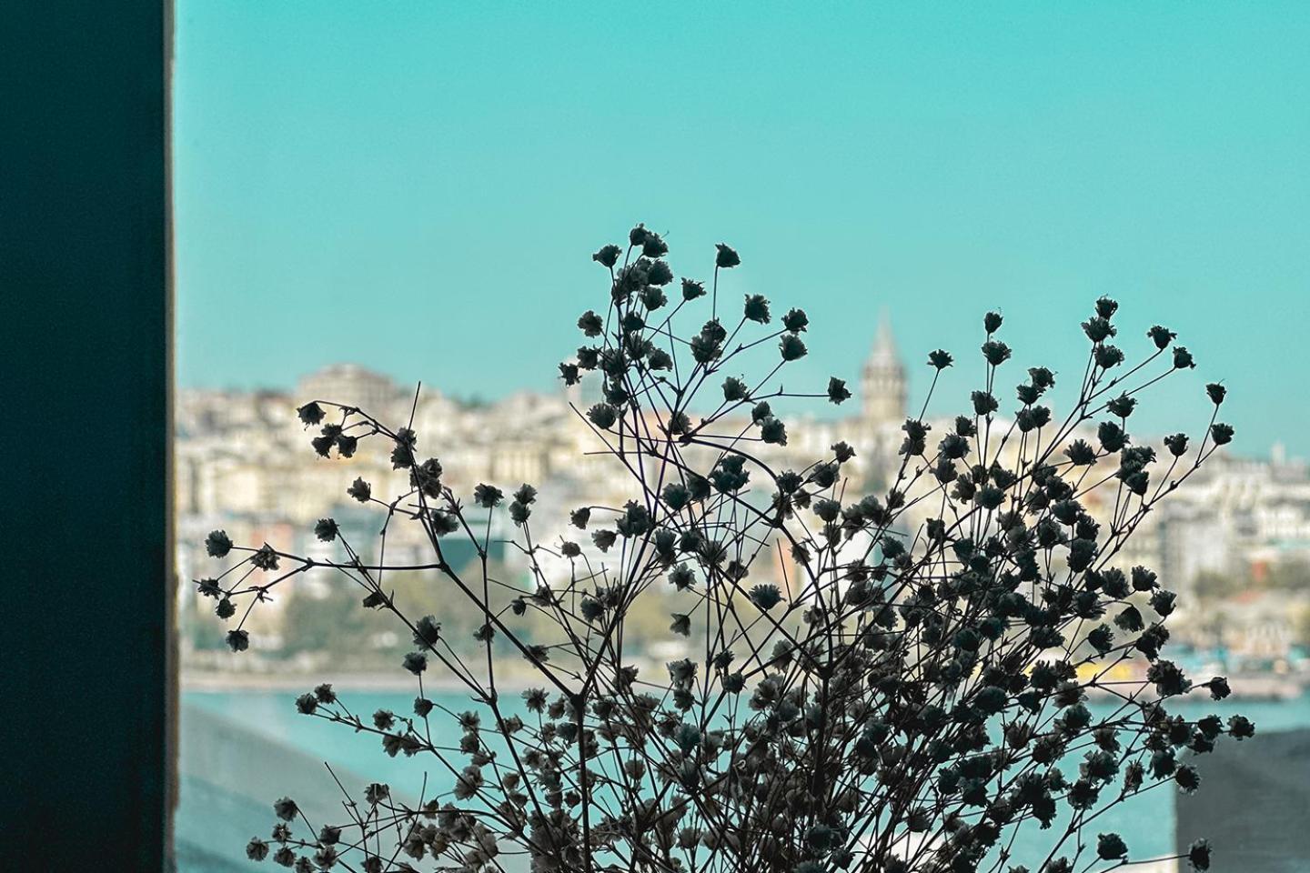 The Halic Bosphorus Hotel 伊斯坦布尔 外观 照片
